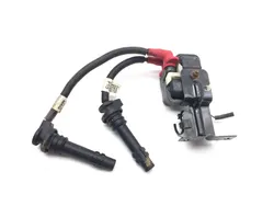 Ignition Coil 2021 Polaris RZR Trail 900 Premium 2934A