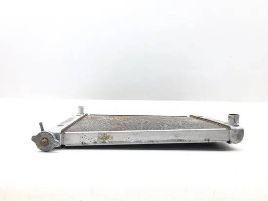 Engine Radiator Cooling 2021 Polaris RZR Trail 900 Premium 2934A x