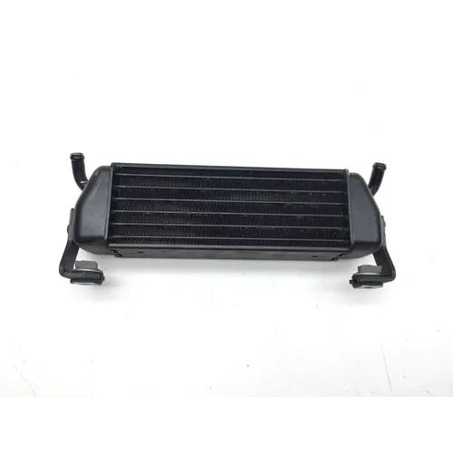 Engine Oil Cooler 2004 BMW R1100S Boxer Cup Replika 2935A 3