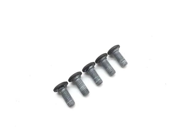 Rear Brake Rotor Disc Bolts 2004 BMW R1100S Boxer Cup Replika 2935A