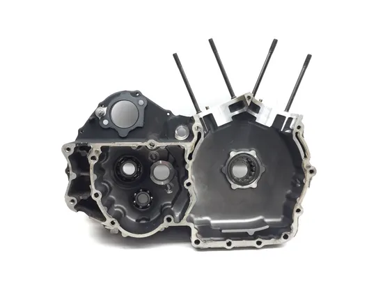 Engine Left Right Center Cases 2015 Harley-Davidson Forty Eight XL1200X 2923A x