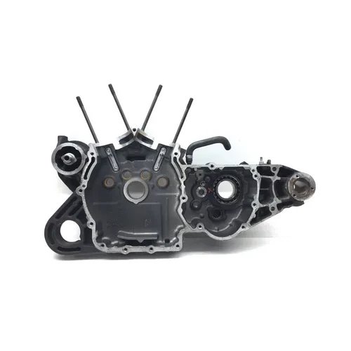 Engine Left Right Center Cases 2015 Harley-Davidson Forty Eight XL1200X 2923A x 19