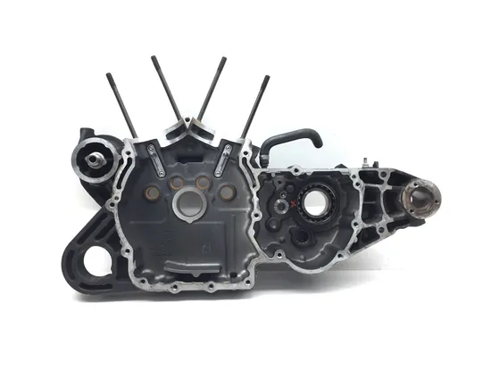 Engine Left Right Center Cases 2015 Harley-Davidson Forty Eight XL1200X 2923A x