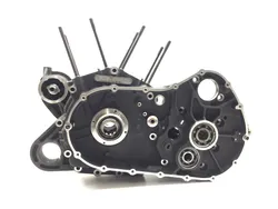 Engine Left Right Center Cases 2015 Harley-Davidson Forty Eight XL1200X 2923A x