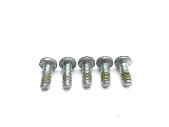 Front Brake Rotor Bolts 2015 Harley-Davidson Forty Eight XL1200X 2923A