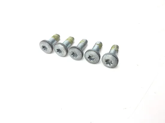 Front Brake Rotor Bolts 2015 Harley-Davidson Forty Eight XL1200X 2923A