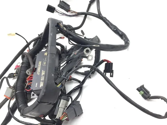 Main Engine Wiring Harness 2005 Harley-Davidson Softail Deuce FXSTD 2951A