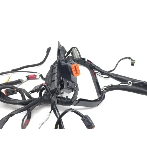 Main Engine Wiring Harness 2005 Harley-Davidson Softail Deuce FXSTD 2951A 13