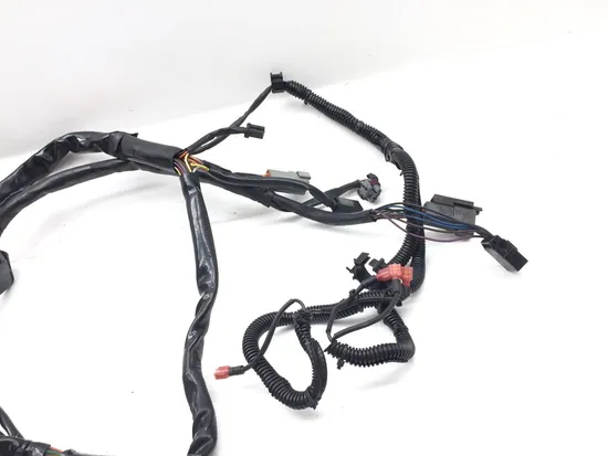 Main Engine Wiring Harness 2005 Harley-Davidson Softail Deuce FXSTD 2951A