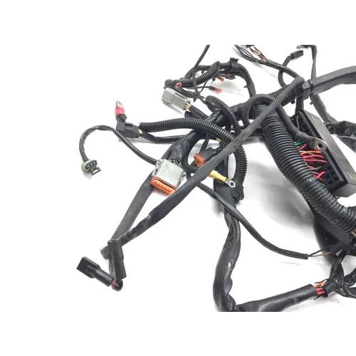 Main Engine Wiring Harness 2005 Harley-Davidson Softail Deuce FXSTD 2951A 5