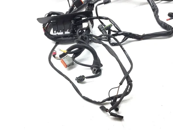Main Engine Wiring Harness 2005 Harley-Davidson Softail Deuce FXSTD 2951A
