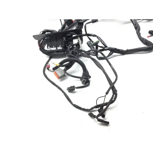 Main Engine Wiring Harness 2005 Harley-Davidson Softail Deuce FXSTD 2951A 9