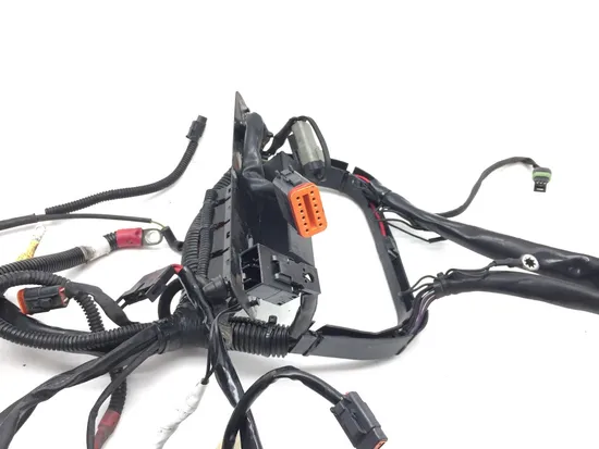 Main Engine Wiring Harness 2005 Harley-Davidson Softail Deuce FXSTD 2951A