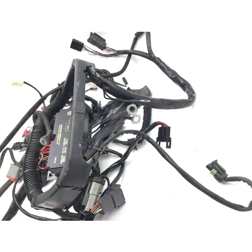 Main Engine Wiring Harness 2005 Harley-Davidson Softail Deuce FXSTD 2951A 7