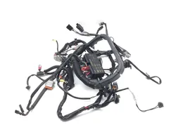 Main Engine Wiring Harness 2005 Harley-Davidson Softail Deuce FXSTD 2951A
