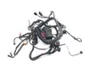 Main Engine Wiring Harness 2005 Harley-Davidson Softail Deuce FXSTD 2951A