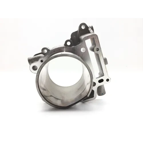 Engine Cylinder Jug Front 2009 Can-Am Spyder GS Roadster SE5 2885A x 16