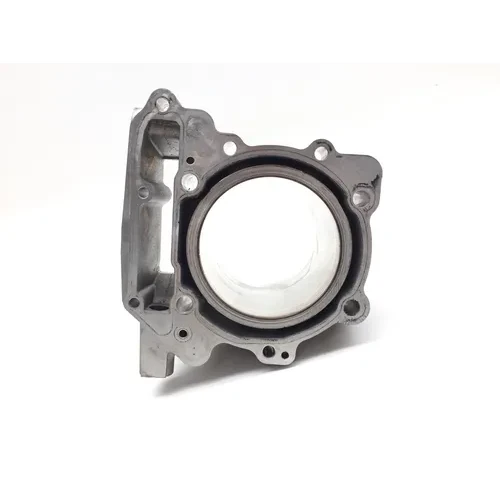 Engine Cylinder Jug Front 2009 Can-Am Spyder GS Roadster SE5 2885A x 13