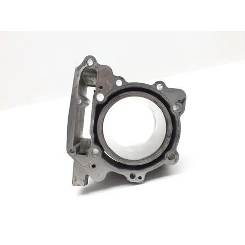 Engine Cylinder Jug Rear 2009 Can-Am Spyder GS Roadster SE5 2885A x 13