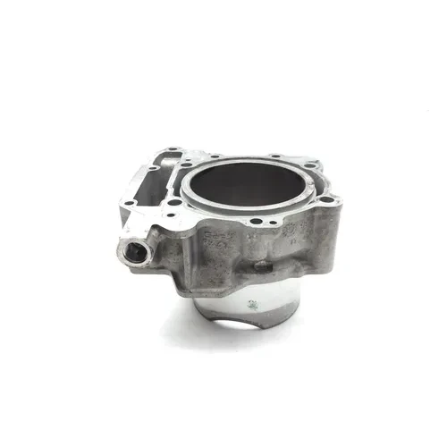 Engine Cylinder Jug Rear 2009 Can-Am Spyder GS Roadster SE5 2885A x 3