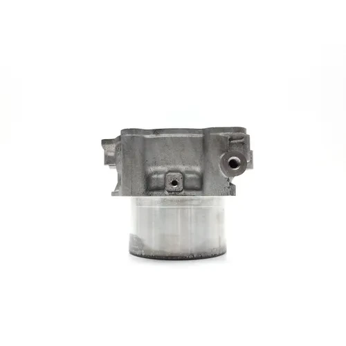 Engine Cylinder Jug Rear 2009 Can-Am Spyder GS Roadster SE5 2885A x 7