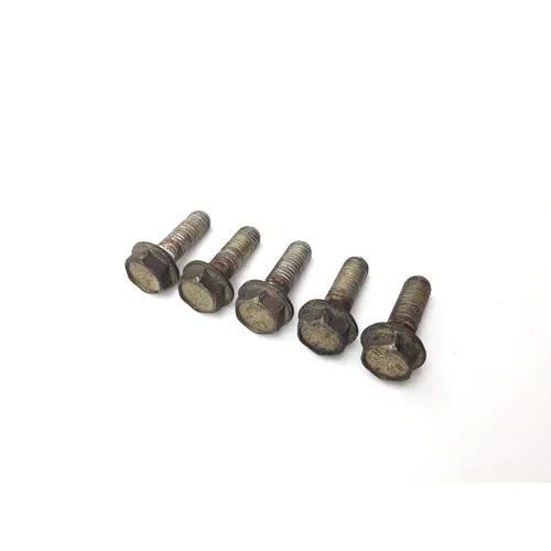 Rear Brake Rotor Disc Bolts 2009 Can-Am Spyder GS Roadster SE5 2885A 6