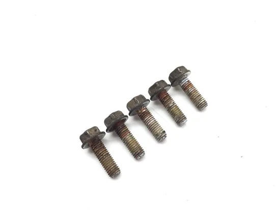 Rear Brake Rotor Disc Bolts 2009 Can-Am Spyder GS Roadster SE5 2885A