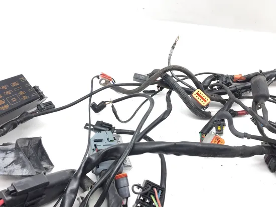 Main Engine Wiring Harness 2006 Harley-Davidson Street Glide EFI FLHXI 2972A