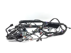 Main Engine Wiring Harness 2006 Harley-Davidson Street Glide EFI FLHXI 2972A