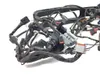 Main Engine Wiring Harness 2006 Harley-Davidson Street Glide EFI FLHXI 2972A