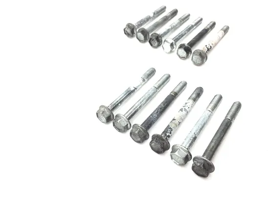 Engine Left Right Center Case Bolts 2004 Harley Softail Standard FXST 2916A