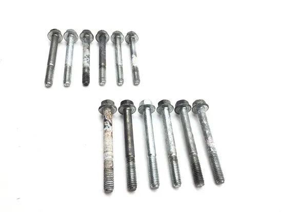 Engine Left Right Center Case Bolts 2004 Harley Softail Standard FXST 2916A