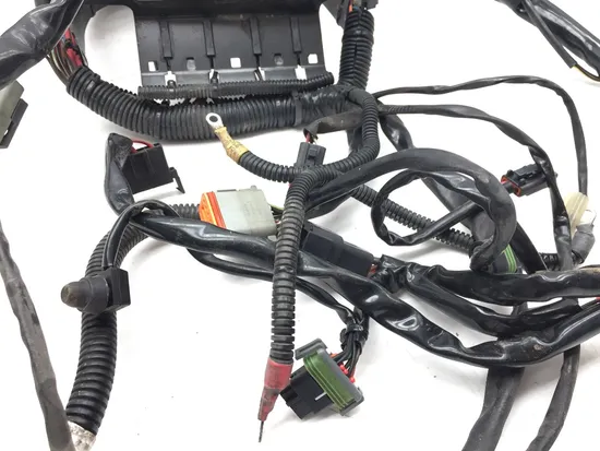 Main Engine Wiring Harness 2004 Harley-Davidson Softail Standard FXST 2916A