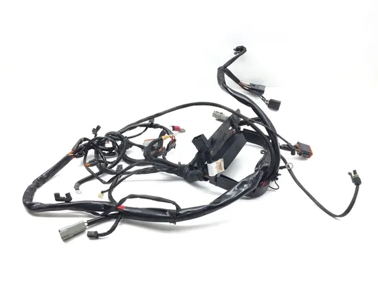 Main Engine Wiring Harness 2004 Harley-Davidson Softail Standard FXST 2916A