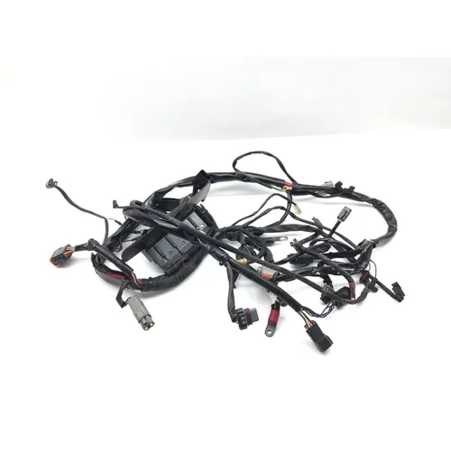 Main Engine Wiring Harness 2004 Harley-Davidson Softail Standard FXST 2916A 10