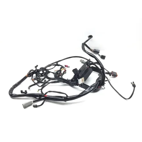 Main Engine Wiring Harness 2004 Harley-Davidson Softail Standard FXST 2916A 7