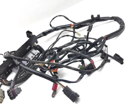 Main Engine Wiring Harness 2004 Harley-Davidson Softail Standard FXST 2916A