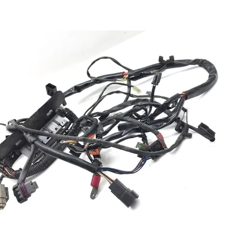 Main Engine Wiring Harness 2004 Harley-Davidson Softail Standard FXST 2916A 5