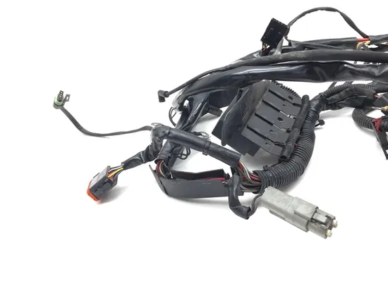 Main Engine Wiring Harness 2004 Harley-Davidson Softail Standard FXST 2916A