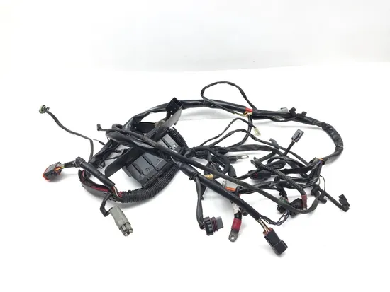 Main Engine Wiring Harness 2004 Harley-Davidson Softail Standard FXST 2916A