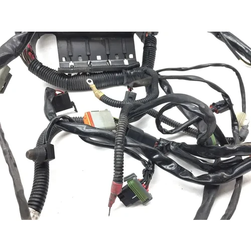 Main Engine Wiring Harness 2004 Harley-Davidson Softail Standard FXST 2916A 9