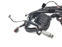 Main Engine Wiring Harness 2004 Harley-Davidson Softail Standard FXST 2916A