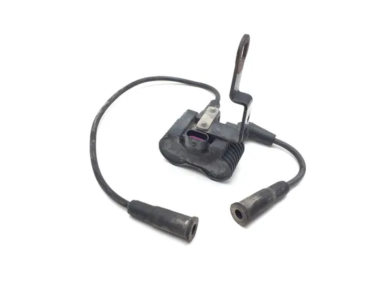 Ignition Coil Set 2014 Harley-Davidson Sportster 1200 Super Low XL1200T 2925A