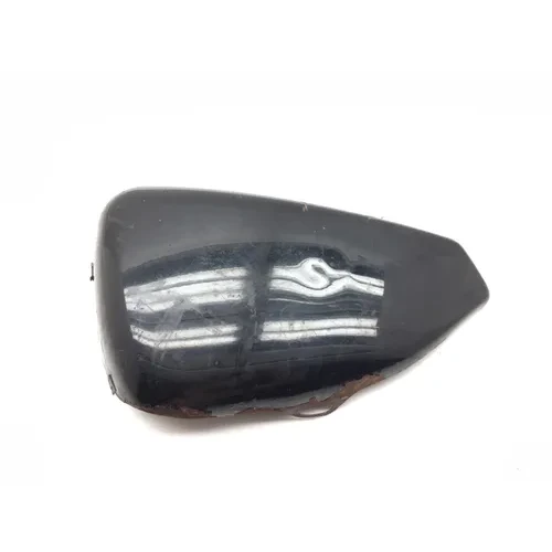 Left Side Cover 2014 Harley-Davidson Sportster 1200 Super Low XL1200T 2925A x 3