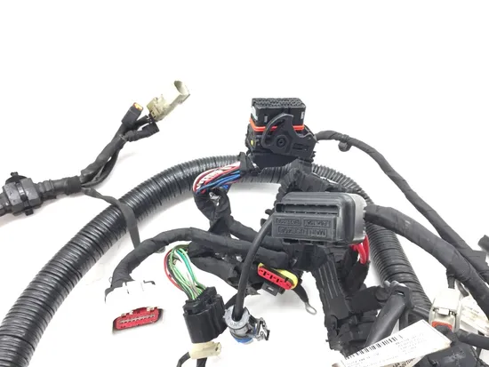 Main Engine Wiring Harness 2012 Harley-Davidson Dyna Fat Bob FXDF 2981A x
