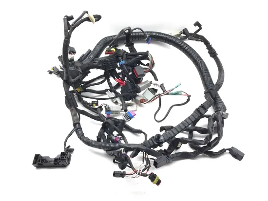 Main Engine Wiring Harness 2012 Harley-Davidson Dyna Fat Bob FXDF 2981A x