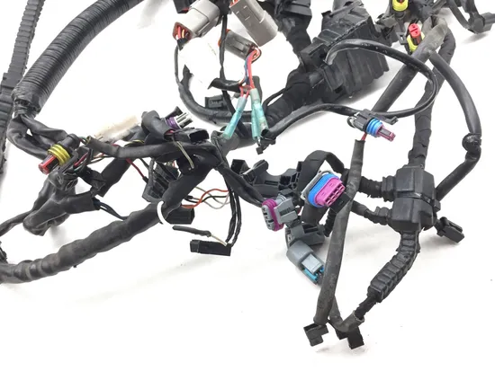 Main Engine Wiring Harness 2012 Harley-Davidson Dyna Fat Bob FXDF 2981A x