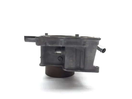 Engine Cylinder Jug W Piston 2017 Honda Pioneer 700 SXS700M2D Deluxe 2993A