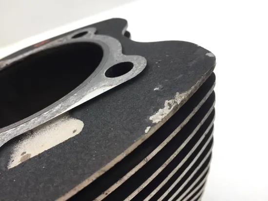 Front Rear Cylinder Jugs w Pistons 2009 Harley-Davidson Fatboy FLSTF 2979A x 2