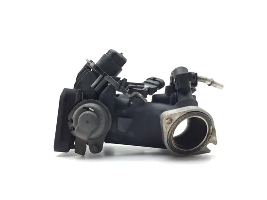 Throttle Body 2009 Harley-Davidson Fatboy FLSTF 2979A